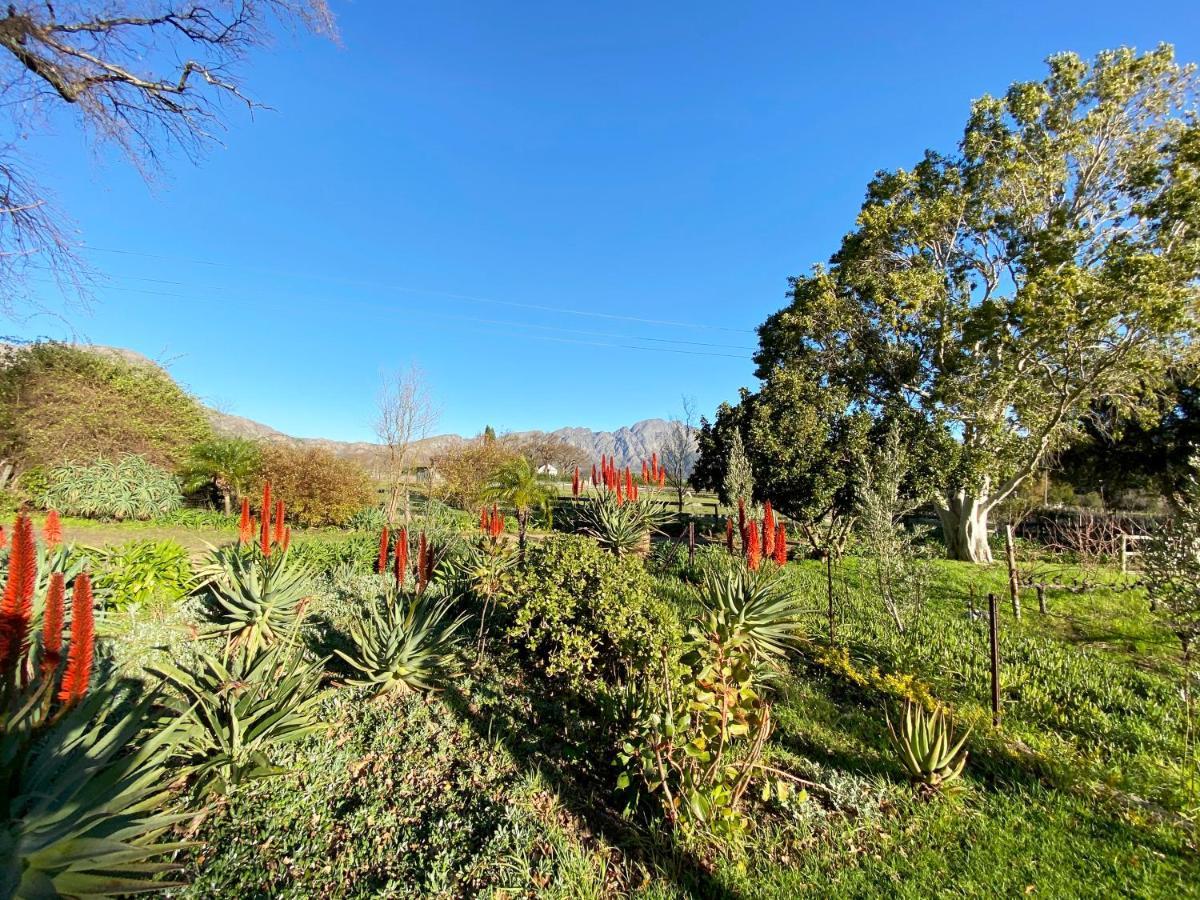 Olive And Vine Farm Cottage Franschhoek Exterior foto