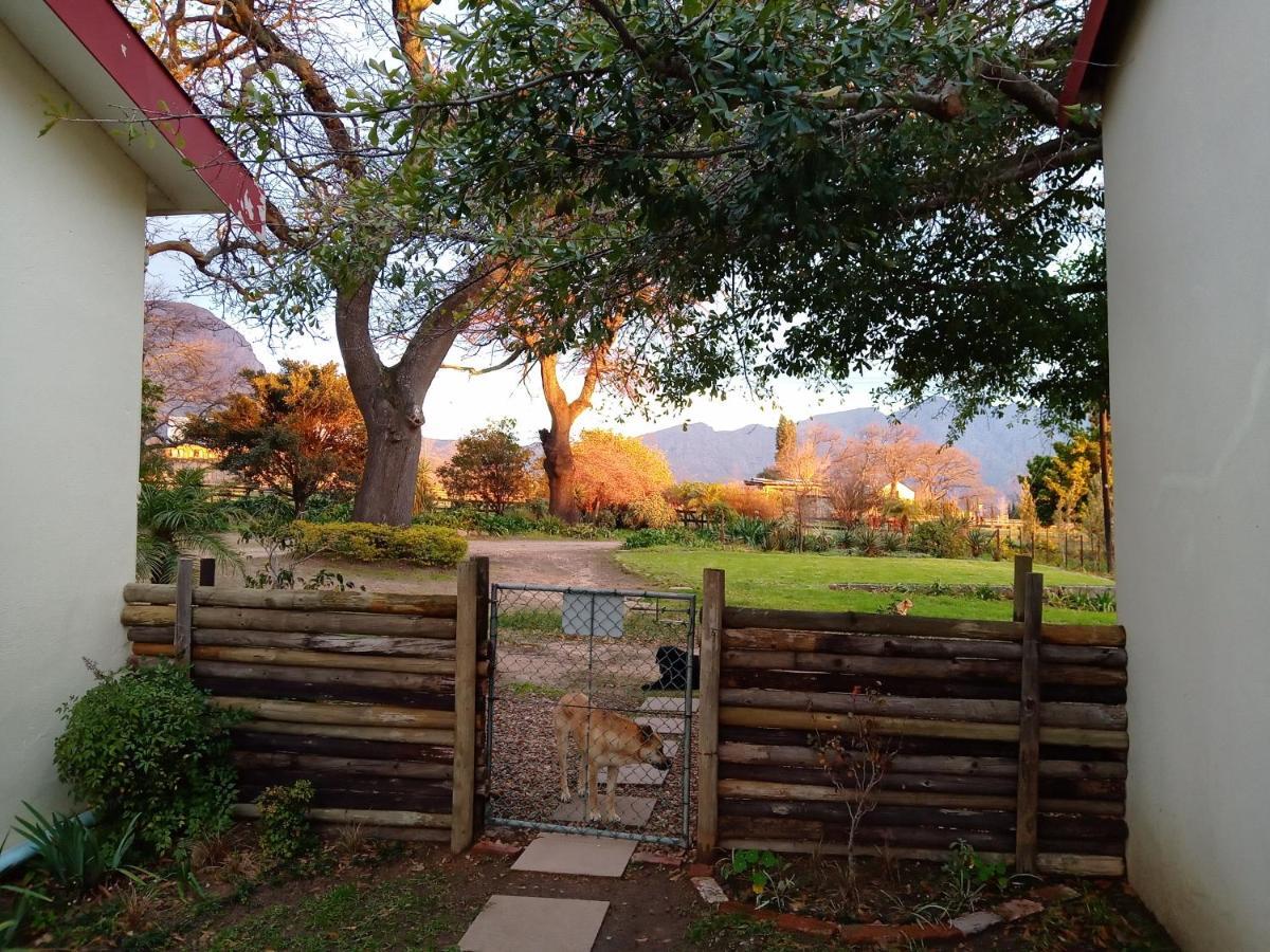 Olive And Vine Farm Cottage Franschhoek Exterior foto