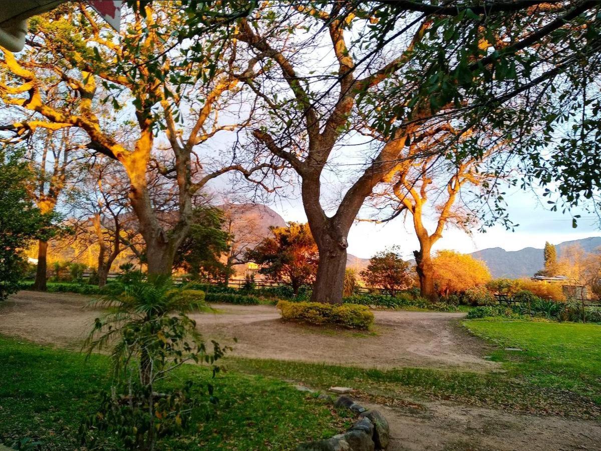 Olive And Vine Farm Cottage Franschhoek Exterior foto