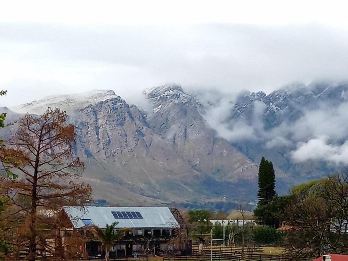 Olive And Vine Farm Cottage Franschhoek Exterior foto