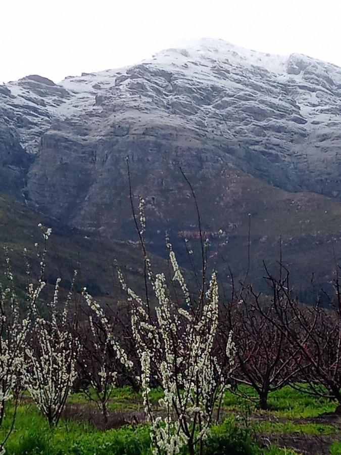 Olive And Vine Farm Cottage Franschhoek Exterior foto