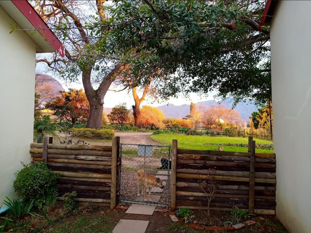 Olive And Vine Farm Cottage Franschhoek Habitación foto